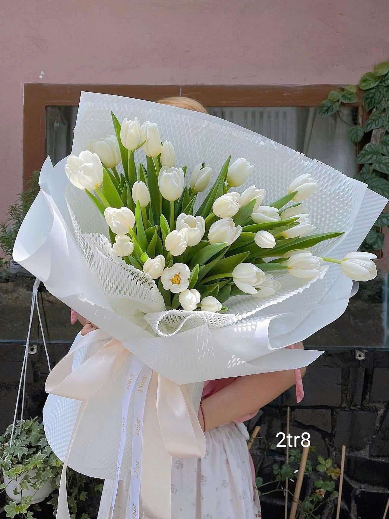 Các mẫu hoa tulip nhân dịp 8/3 tặng mẹ, vợ, người yêu ,... tại Hà Nội ! Hoa tulip đẹp Hà Nội ! Mua hoa online tại Hà Nội nhà family Flower