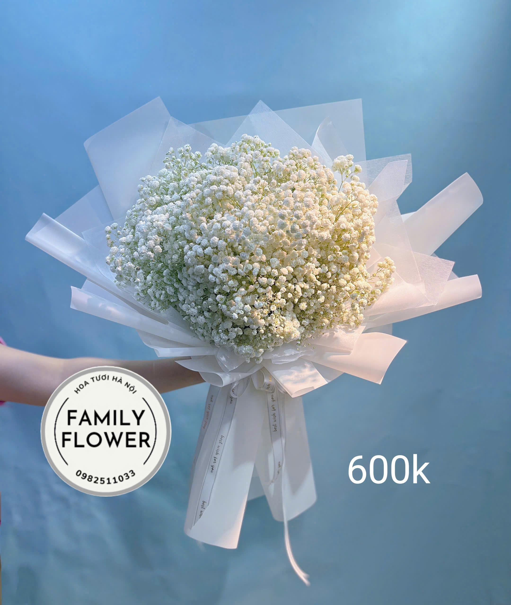 Gợi ý những mẫu hoa baby tặng em người yêu, vợ, mẹ,cô giáo,... nhân dịp 8/3 tại Cầu Giấy Hà Nội ! Mua hoa tươi online Hà Nội