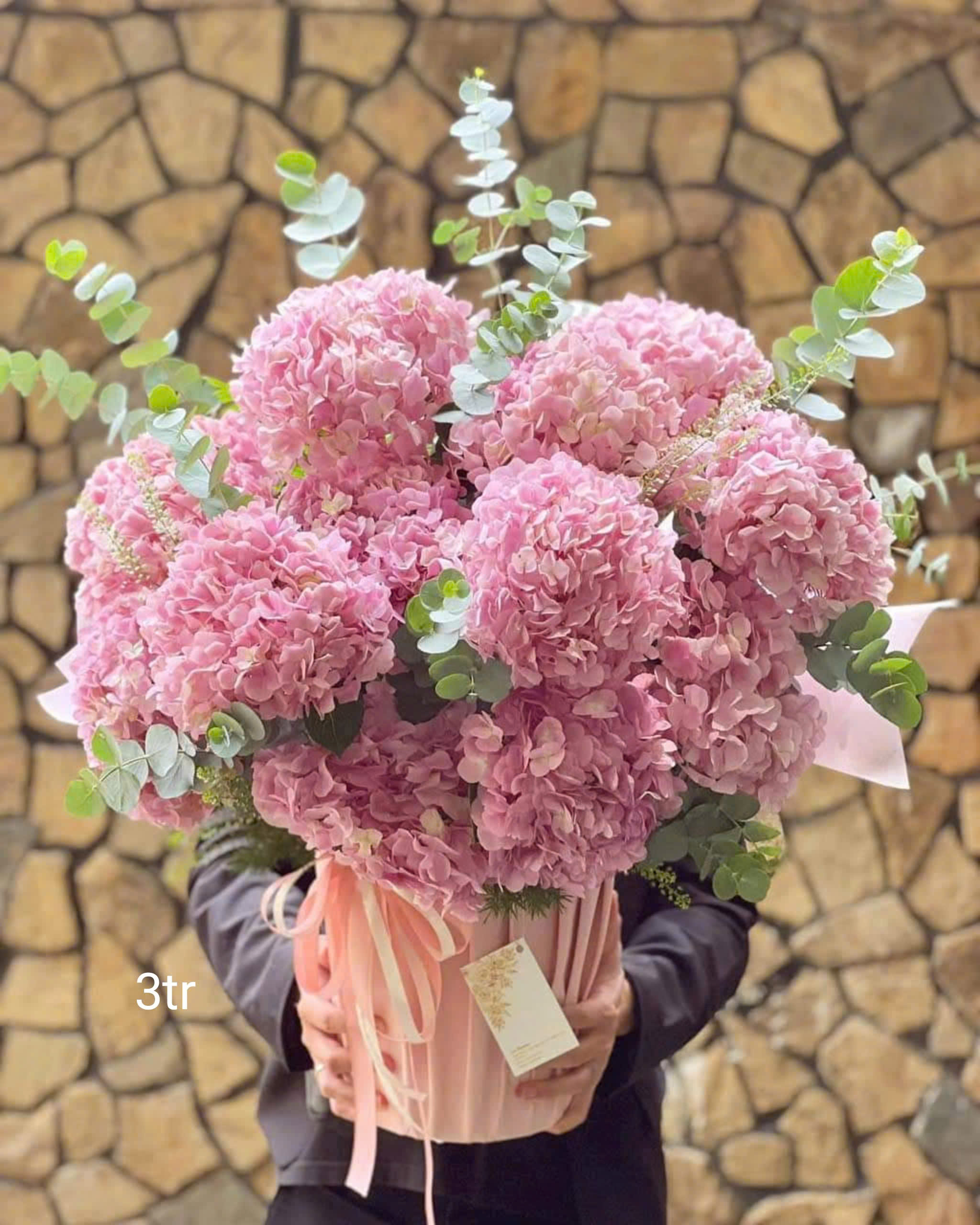 Những mẫu hoa cẩm tú cầu cho ngày Quốc tế phụ nữ 8/3 tại Cầu giấy, Ba Đình Hà Nội ! Hoa cẩm tú cầu đẹp ! Mua hoa online Hà Nội