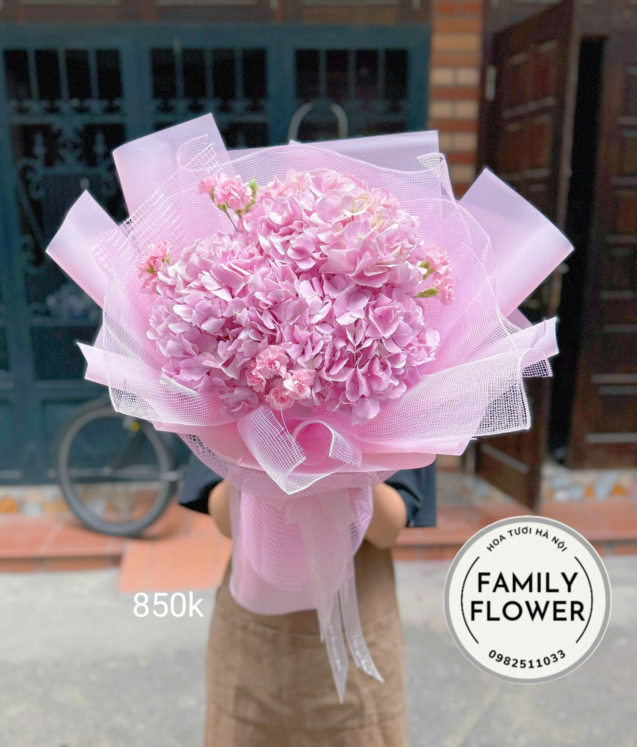 Những mẫu hoa cẩm tú cầu cho ngày Quốc tế phụ nữ 8/3 tại Cầu giấy, Ba Đình Hà Nội ! Hoa cẩm tú cầu đẹp ! Mua hoa online Hà Nội