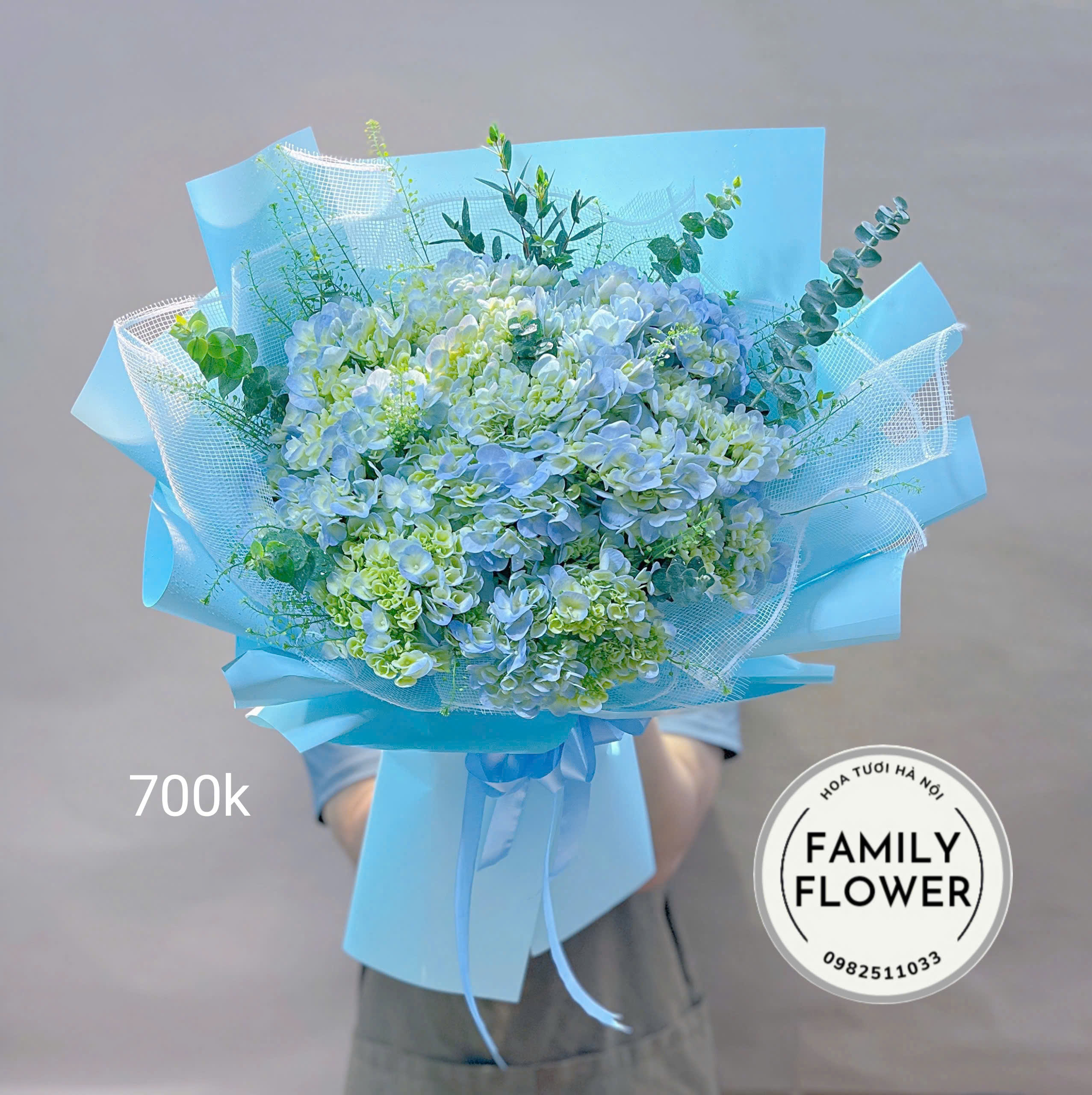 Những mẫu hoa cẩm tú cầu cho ngày Quốc tế phụ nữ 8/3 tại Cầu giấy, Ba Đình Hà Nội ! Hoa cẩm tú cầu đẹp ! Mua hoa online Hà Nội