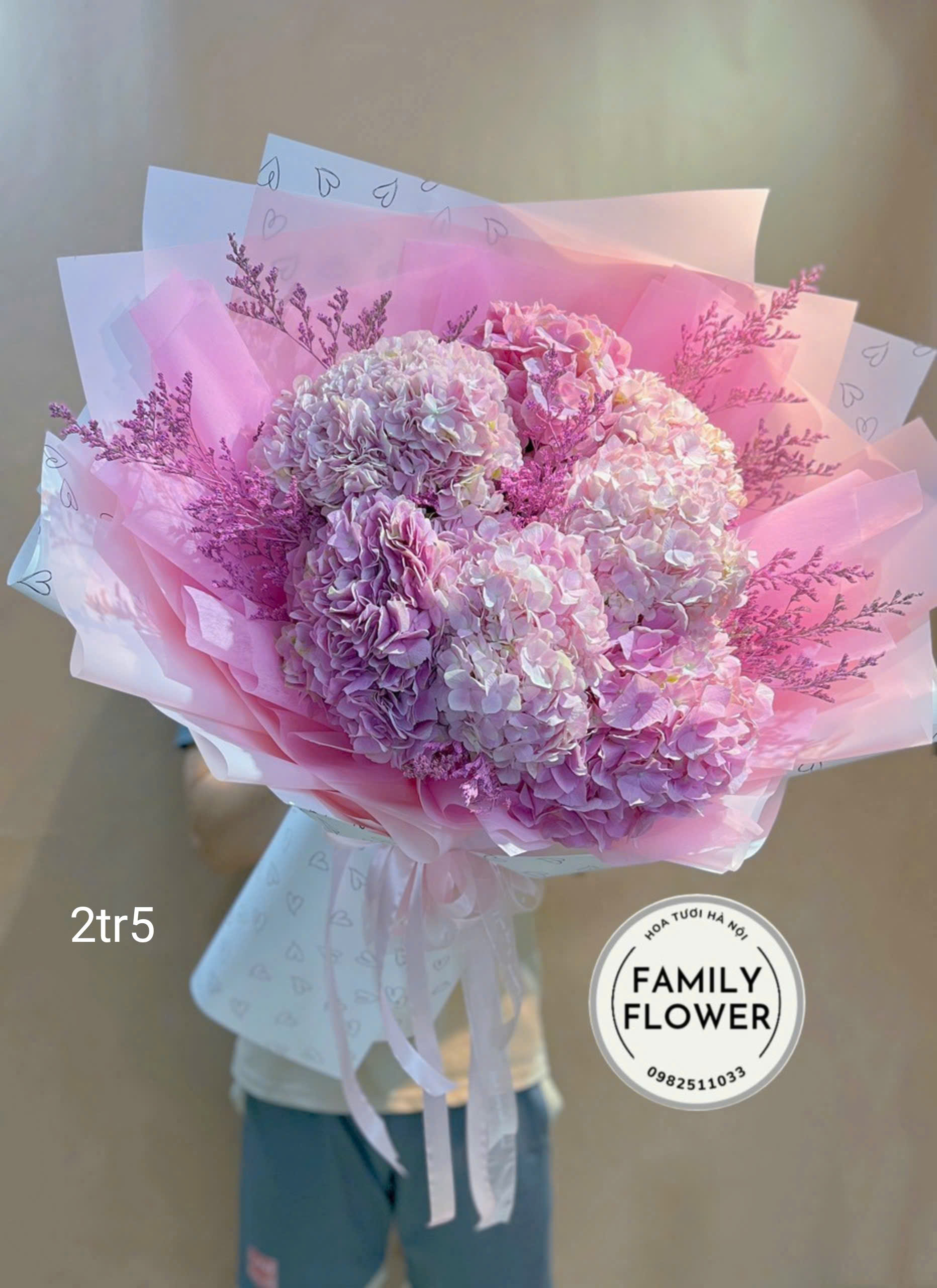 Những mẫu hoa cẩm tú cầu cho ngày Quốc tế phụ nữ 8/3 tại Cầu giấy, Ba Đình Hà Nội ! Hoa cẩm tú cầu đẹp ! Mua hoa online Hà Nội