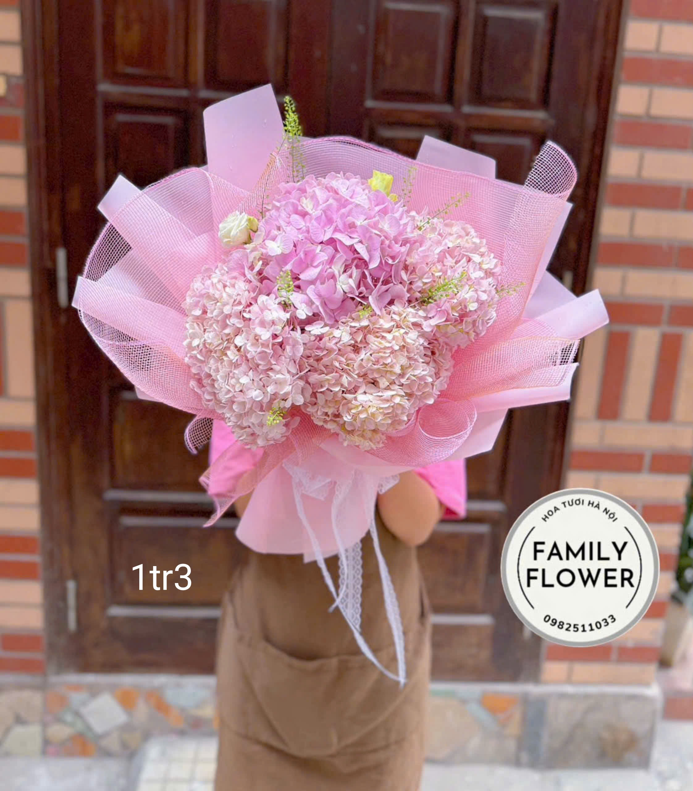 Những mẫu hoa cẩm tú cầu cho ngày Quốc tế phụ nữ 8/3 tại Cầu giấy, Ba Đình Hà Nội ! Hoa cẩm tú cầu đẹp ! Mua hoa online Hà Nội