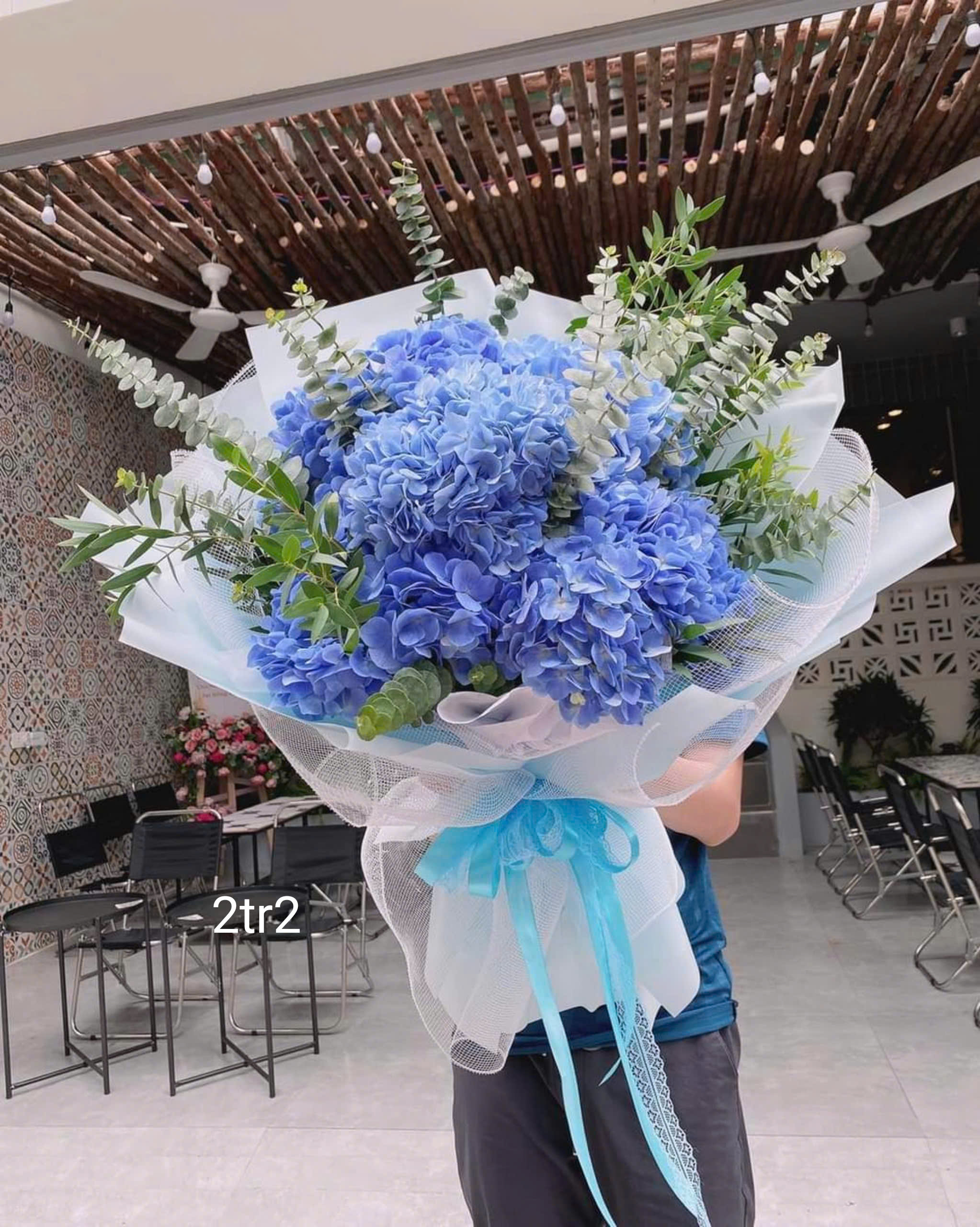 Những mẫu hoa cẩm tú cầu cho ngày Quốc tế phụ nữ 8/3 tại Cầu giấy, Ba Đình Hà Nội ! Hoa cẩm tú cầu đẹp ! Mua hoa online Hà Nội