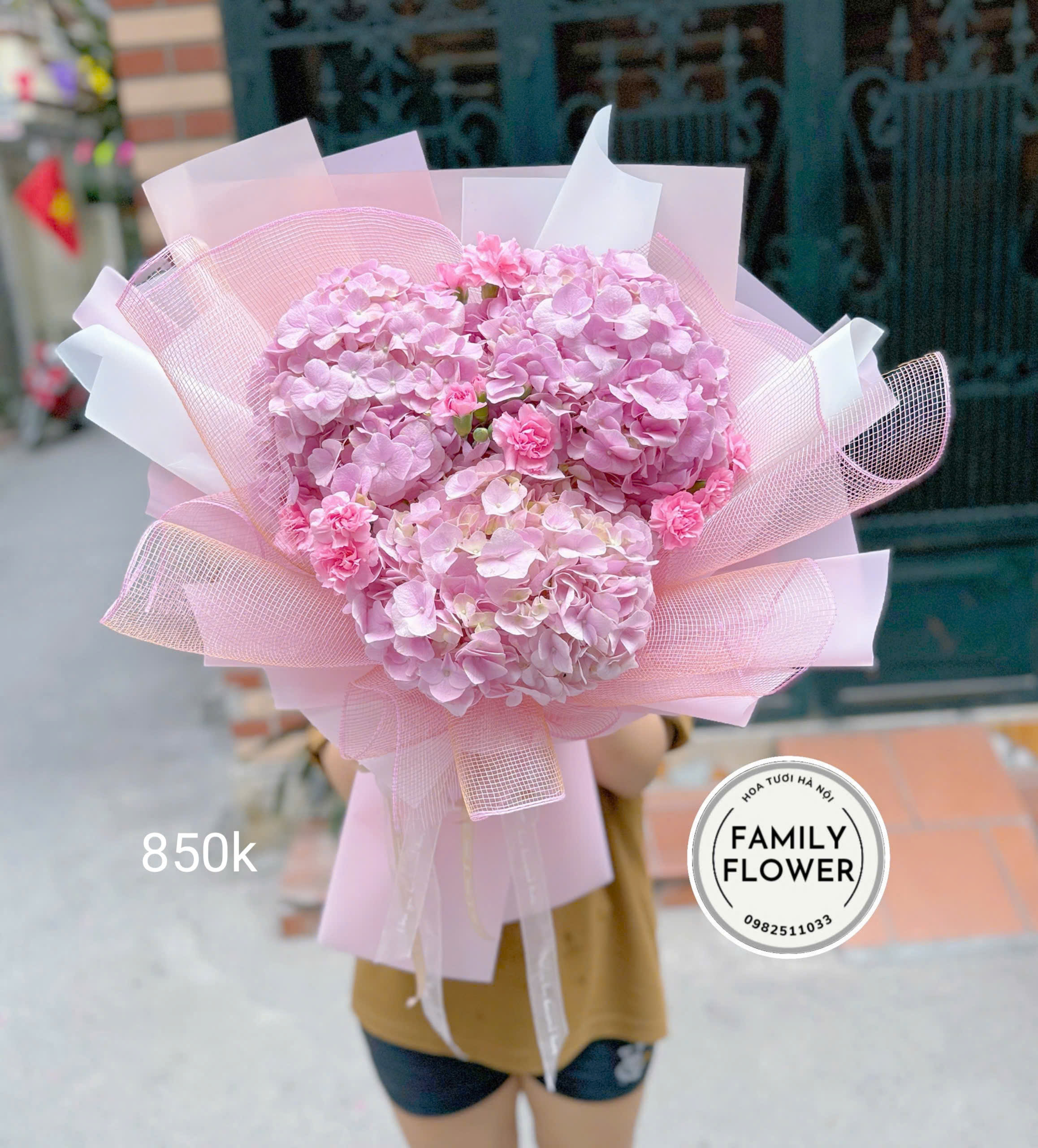 Những mẫu hoa cẩm tú cầu cho ngày Quốc tế phụ nữ 8/3 tại Cầu giấy, Ba Đình Hà Nội ! Hoa cẩm tú cầu đẹp ! Mua hoa online Hà Nội