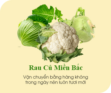 RAU CỦ QUẢ