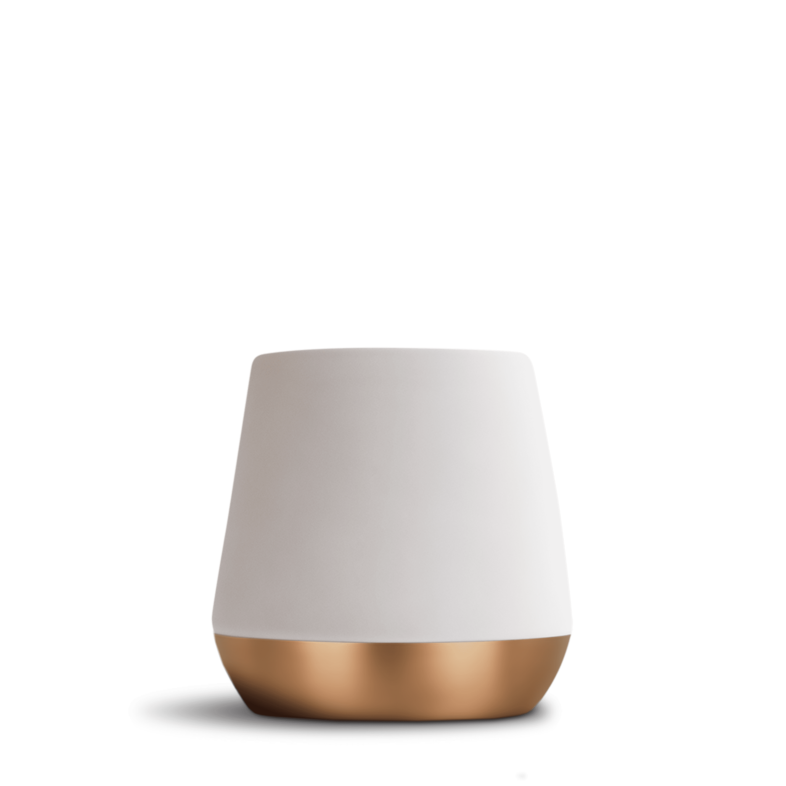 Fellow Joey Double Wall