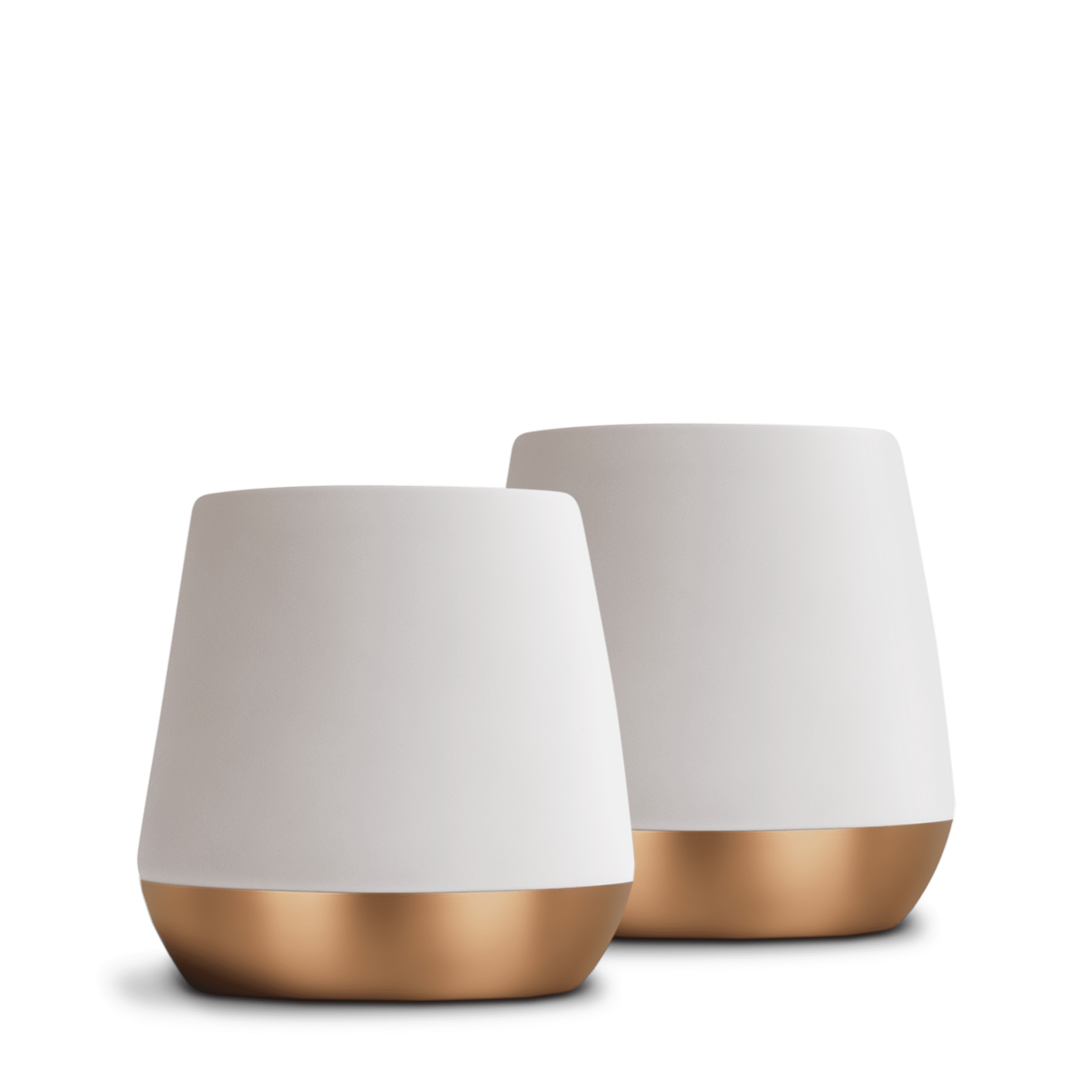 Fellow Joey Double Wall