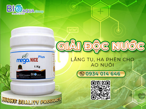 Mega Nice Plus lang tu giai doc nuoc ha phen cho ao nuoi