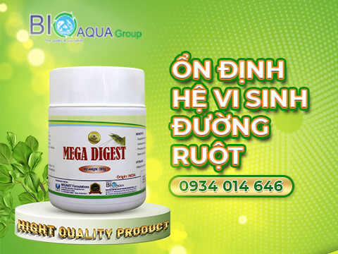 Mega Digest on dinh vi sinh duong ruot giup tom nhanh lon