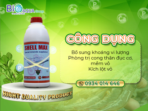 Shell Max - Khoang nuoc dam dac bo sung vi luong can thiet cho tom