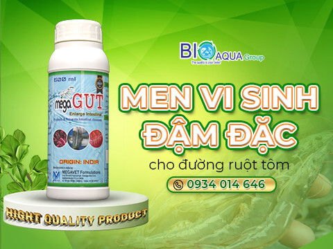 Mega Gut Men vi sinh song sieu dam dac nong to duong ruot tom