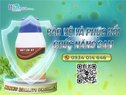 Vetiv-07 giai doc gan bao ve va phuc hoi chuc nang cua tom nuoi