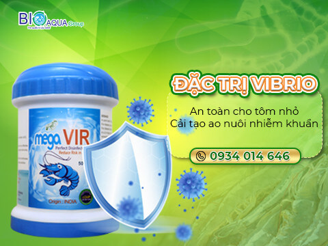 Mega Vir - Sieu diet khuan Vibrio trong ao nuoi tom