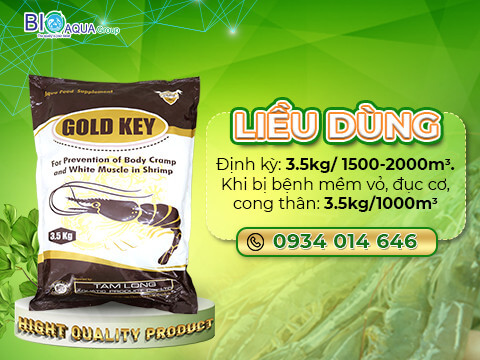 Gold Key khoang tat giup tom nhanh cung vo chuyen tri mem vo op than tren tom