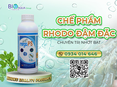 Mega Ps che pham Rhodo dam dac chuyen tri nhot bat on dinh mau nuoc