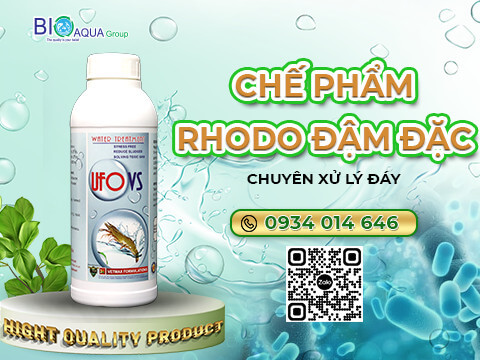 UFO VS -  Che pham Rhodo dam dac chuyen xu ly day