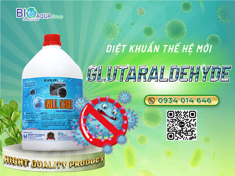 Gill Care - Sản phẩm diệt khuẩn thế hệ mới Glutaraldehyde dac tri den mang dom den