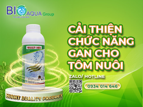 Megaliv Aqua ho tro cai thien gan bo gan giai doc gan cho tom nuoi ao ho