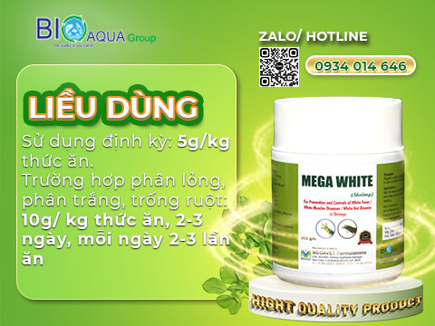 Mega white khang sinh thao duoc duong ruot, dieu tri phan long tren tom