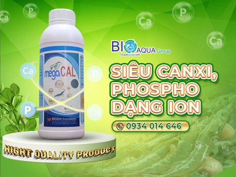 Mega Cal sieu canxi phospho dang ion