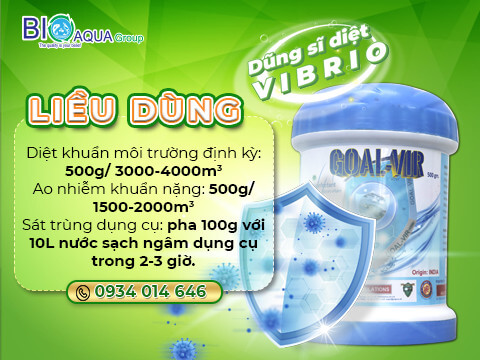 Goal Vir dac tri vi khuan vibrio phan long phong ngua gan tuy cap tren tom