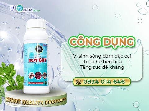 Best Gut -  Vi sinh song dam dac nong to duong ruot tom