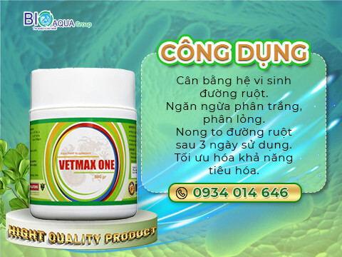 Vetmax One - Vi sinh duong ruot cao cap giup tom sinh truong tot