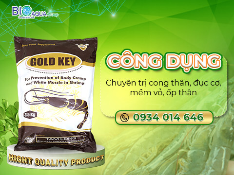 Gold Key khoang tat giup tom nhanh cung vo chuyen tri mem vo op than tren tom