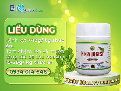 Mega Digest on dinh vi sinh duong ruot giup tom nhanh lon