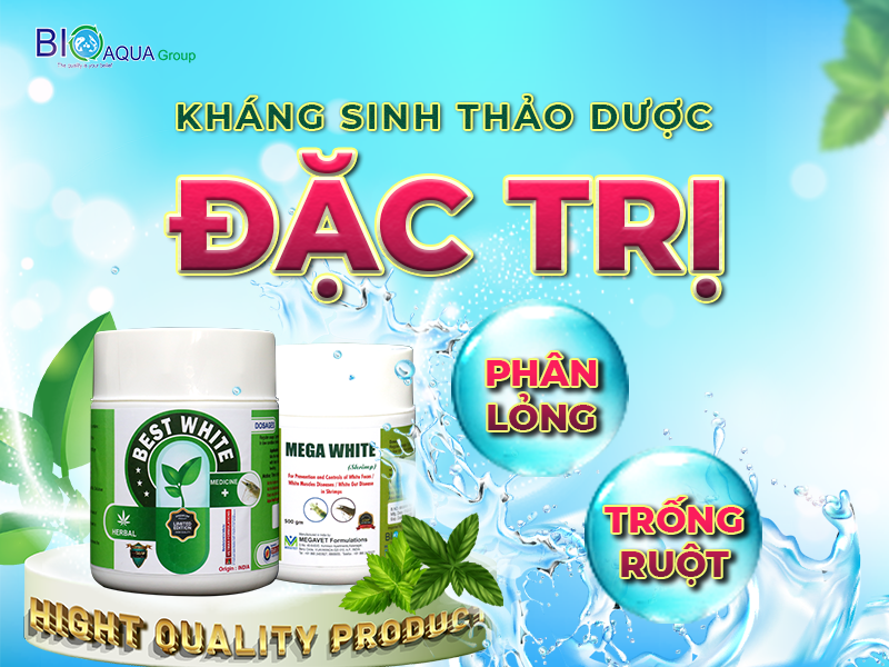 Khang sinh THAO DUOC dac tri phan long trong ruot giai phap cho cac benh đuong ruot tom