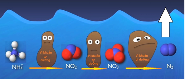 xu-ly-khi-doc-dac-tri-no2-nh3