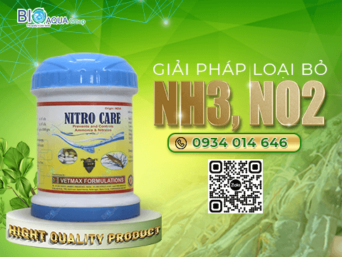 Nitro Care Giai phap loai bo nh3 va no2