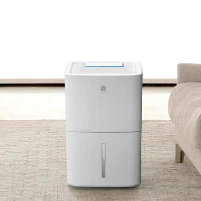 3. Máy hút ẩm New Widetech 10L