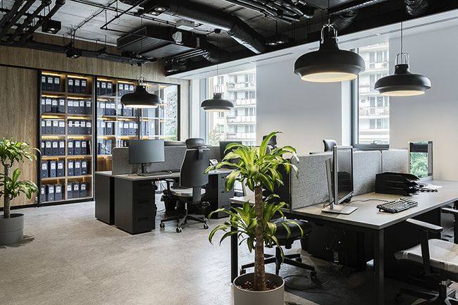 Bố Trí Nội Thất Văn Phòng Với Cây Xanh
