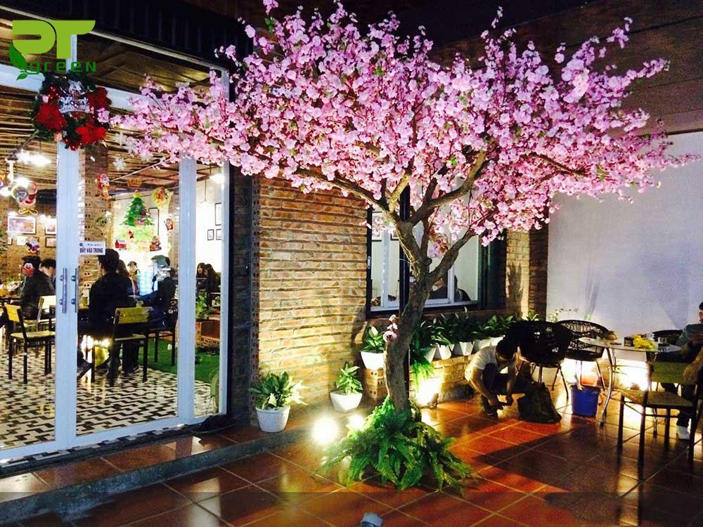 Cây Giả Trang Trí Quán Cafe, Nhà Hàng
