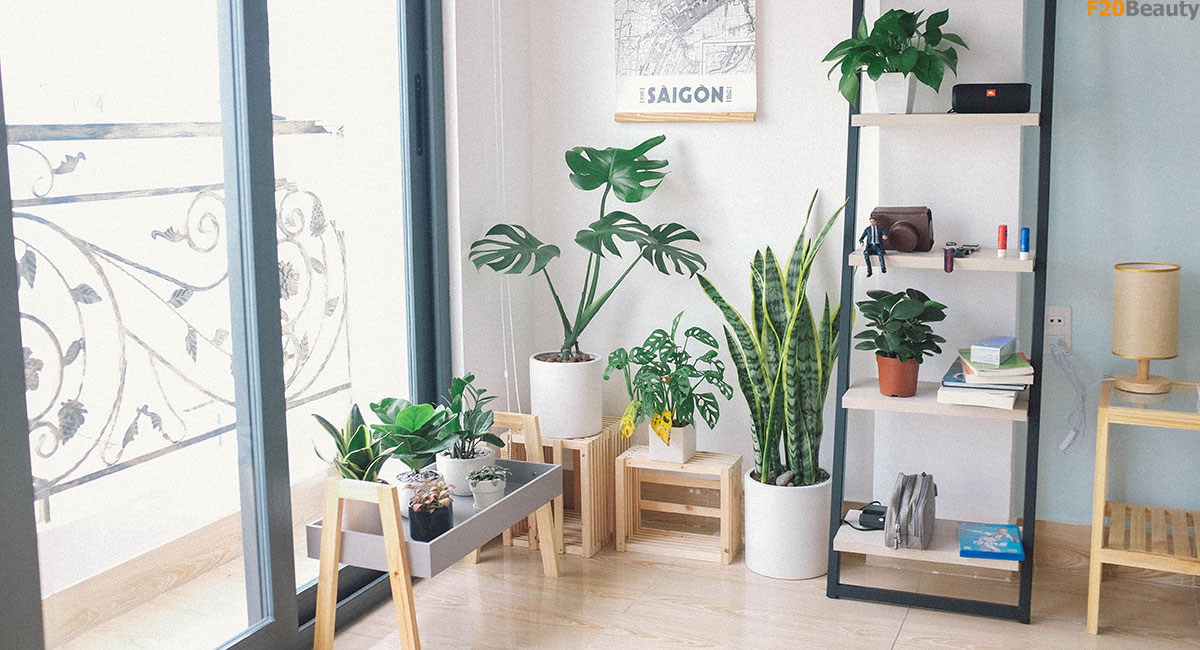 Ứng Dụng Của Cây Giả Trong Trang Trí Không Gian Sống Của Bạn