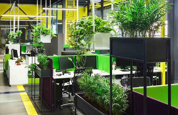 Cây Giả Để Trang Trí Văn Phòng