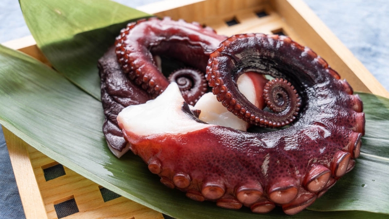 Sau khi đánh bắt, bạch tuộc được làm sạch kỹ lưỡng và cấp đông