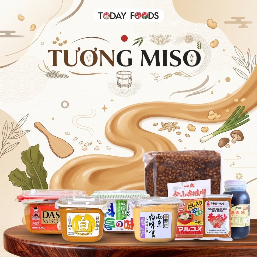 Tương Miso Tại TodayFoods