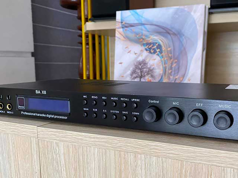 cấu hình của Vang số Boston Acoustics BA X8