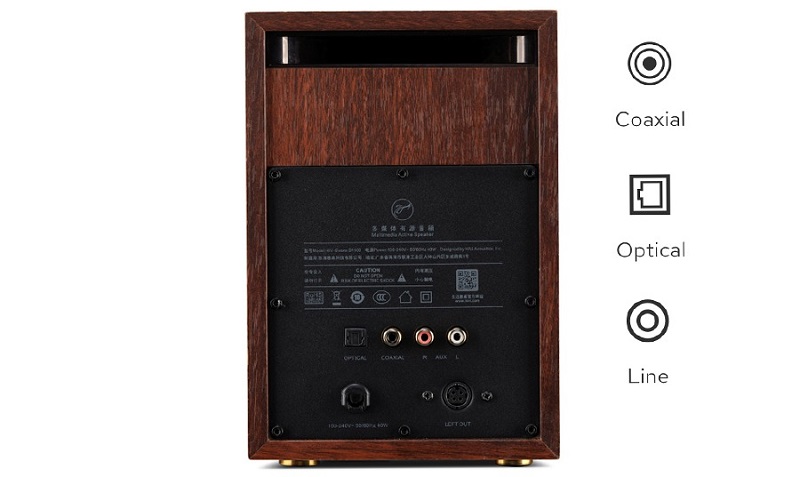 các cổng kết nối trên loa hivi swan d1100