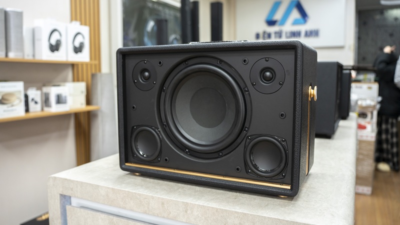 cấu trúc âm thanh loa acnos d'auris