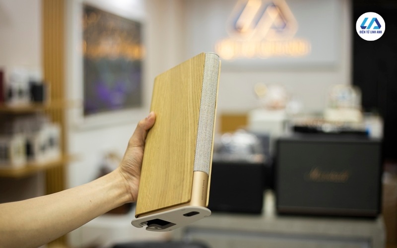 cấu trúc củ loa bang olufsen beosound emerge