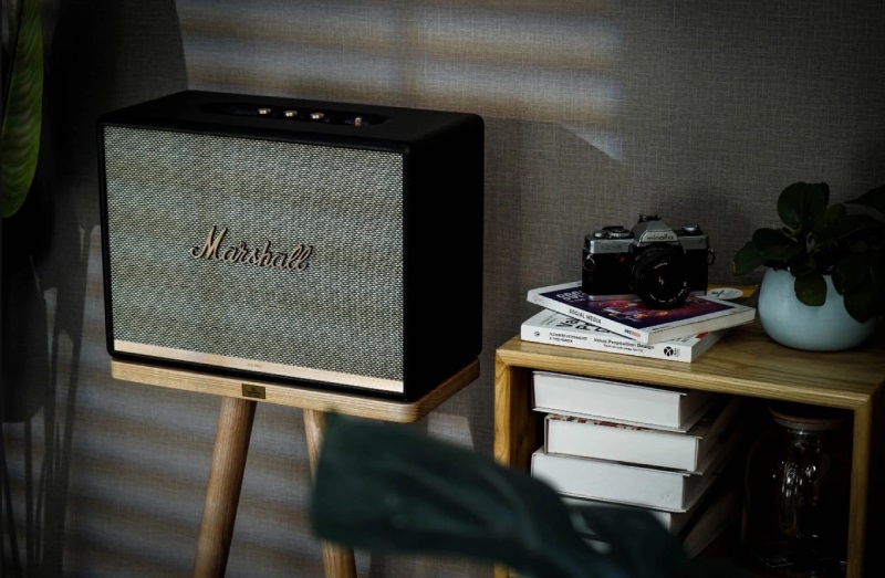 chân loa marshall cecor