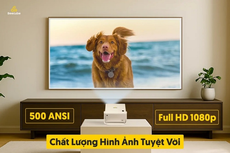 chất lượng hình ảnh trên beecube x2 max gen 5