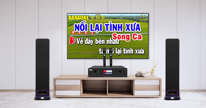 combo karaoke lavip 3