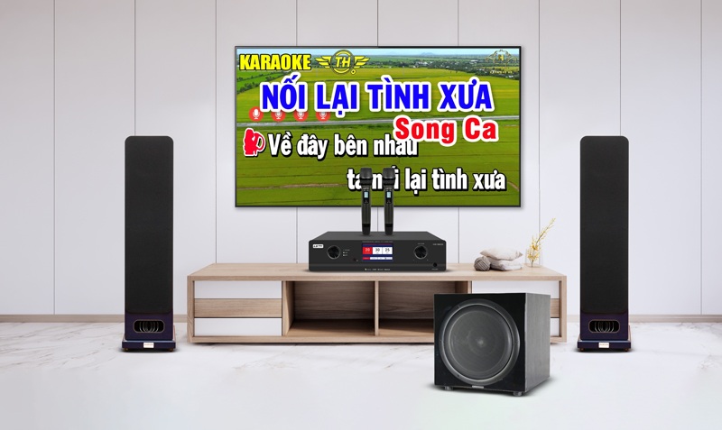 combo karaoke lavip 4