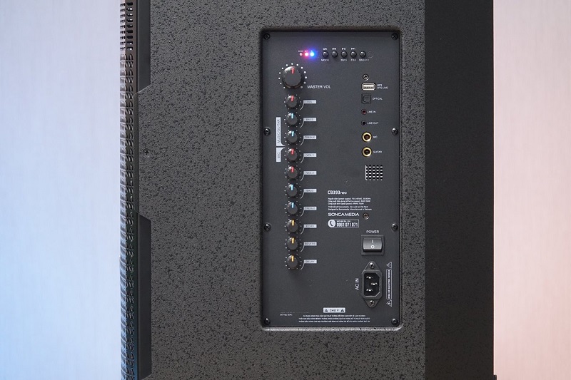 cổng kết nối trên loa acnos cs393neo