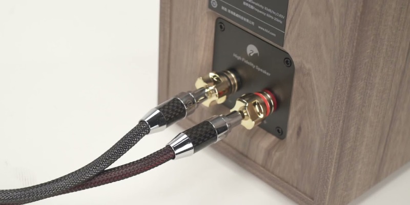 cổng kết nối trên loa oasis